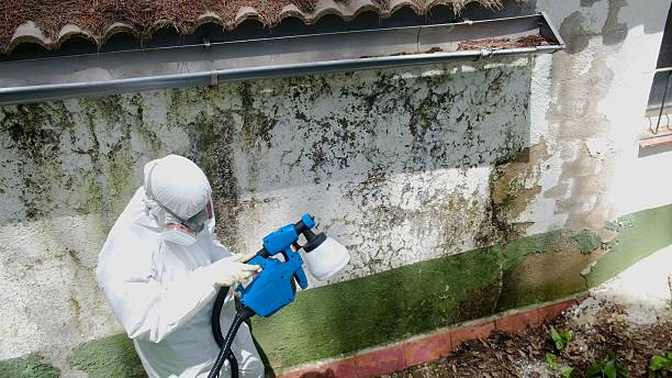 Top rated local Mold Testing specialists in Knoxville, MD